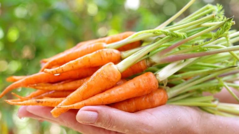 how-many-baby-carrots-in-a-pound